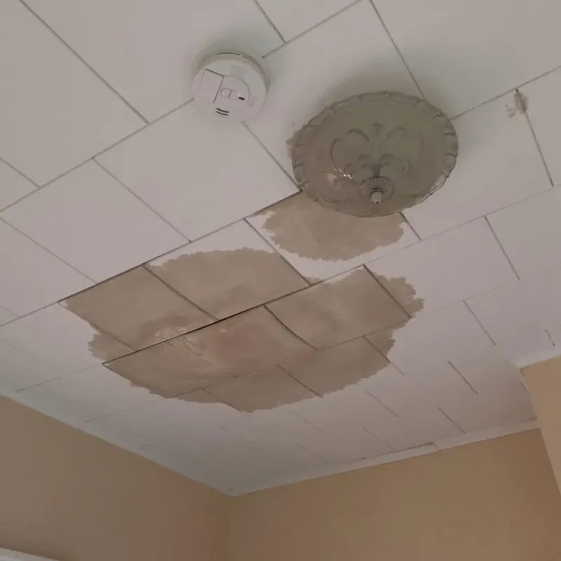 Ceiling Water Damage Repair in Schoolcraft, MI