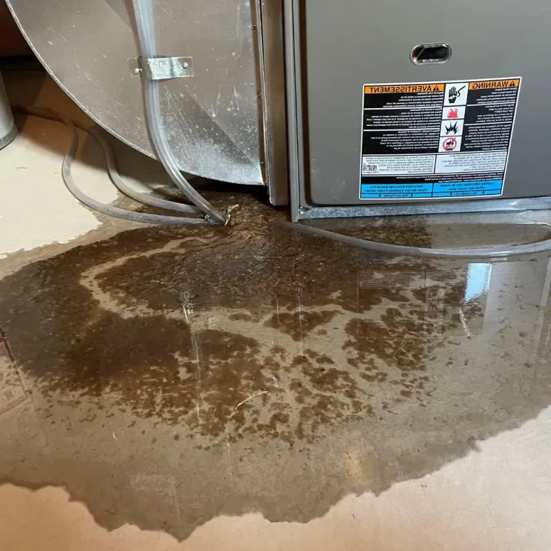 Pipe Burst and Leak Restoration in Schoolcraft, MI