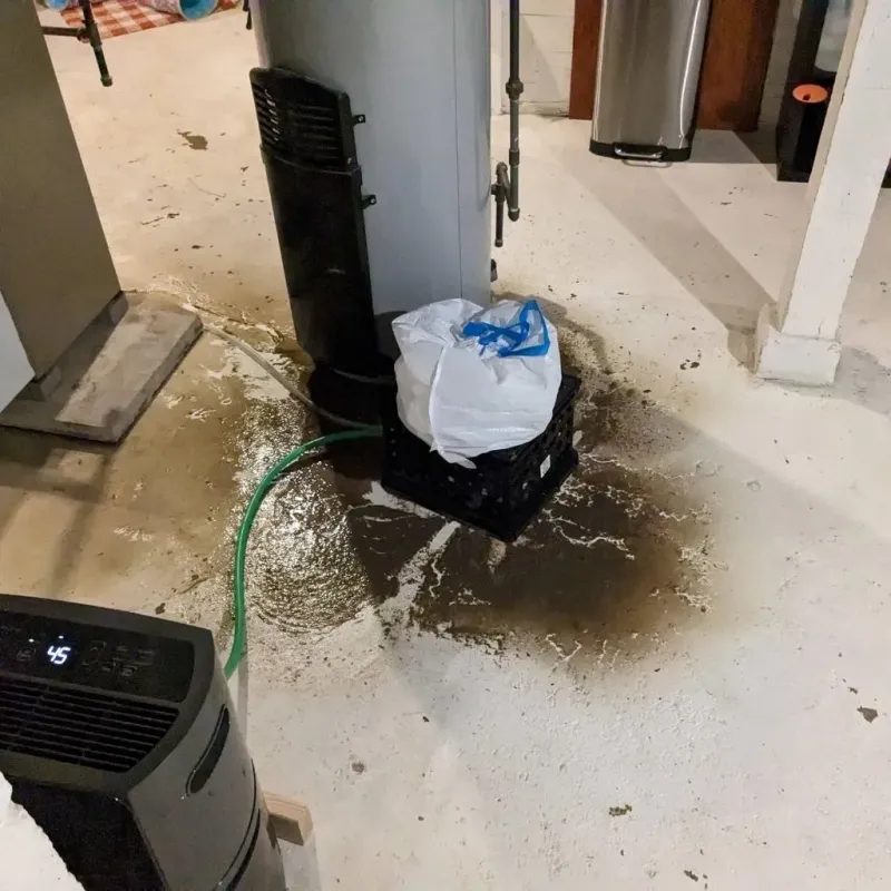 Sewage Backup Cleanup Service in Schoolcraft, MI